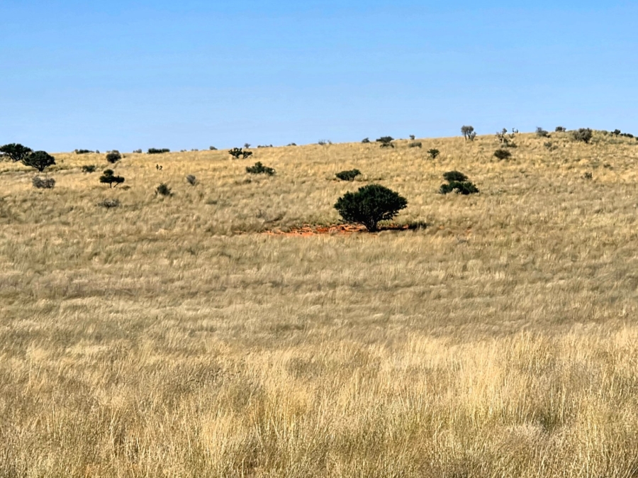 Commercial Property for Sale in Upington Rural Northern Cape